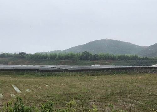 湖州市妙西镇鱼山南埠矿废弃矿山治理工程