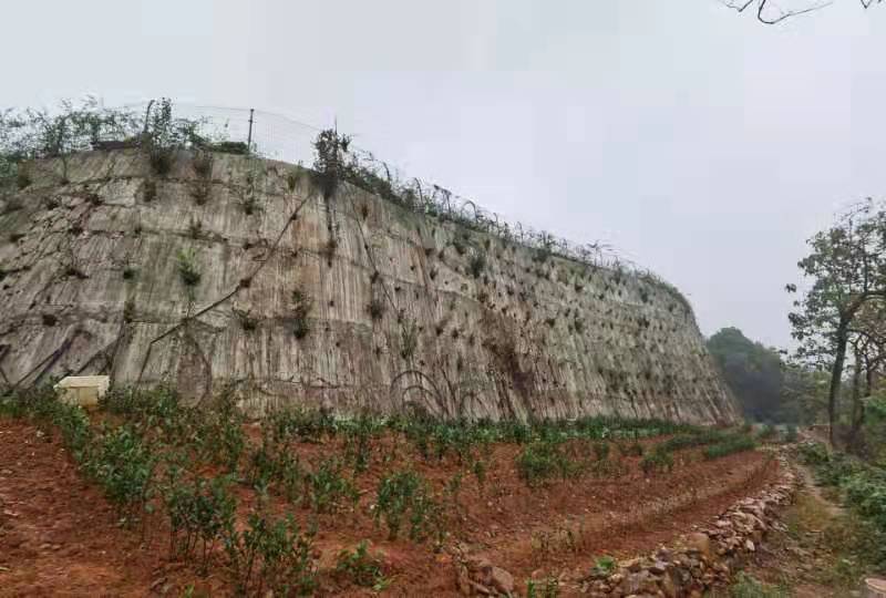 微信图片_20210301093853.jpg
