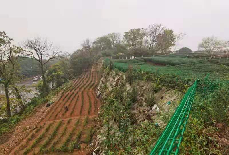 微信图片_20210301093912.jpg