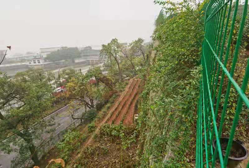 西湖区之江路五云山边坡治理工程