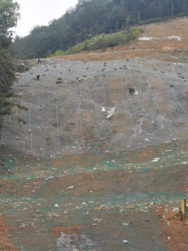 丽水-龙游天然气管道一期工程南明山街道张垵村边坡治理工程